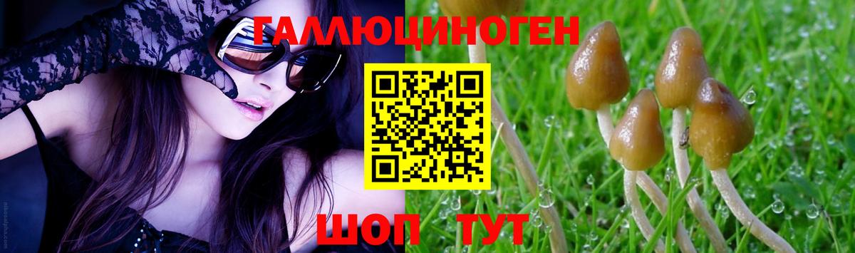 Галлюциногенные грибы Psilocybine cubensis  Вход с VPN  Галлюциногенные грибы MAGIC MUSHROOMS  Домодедово 