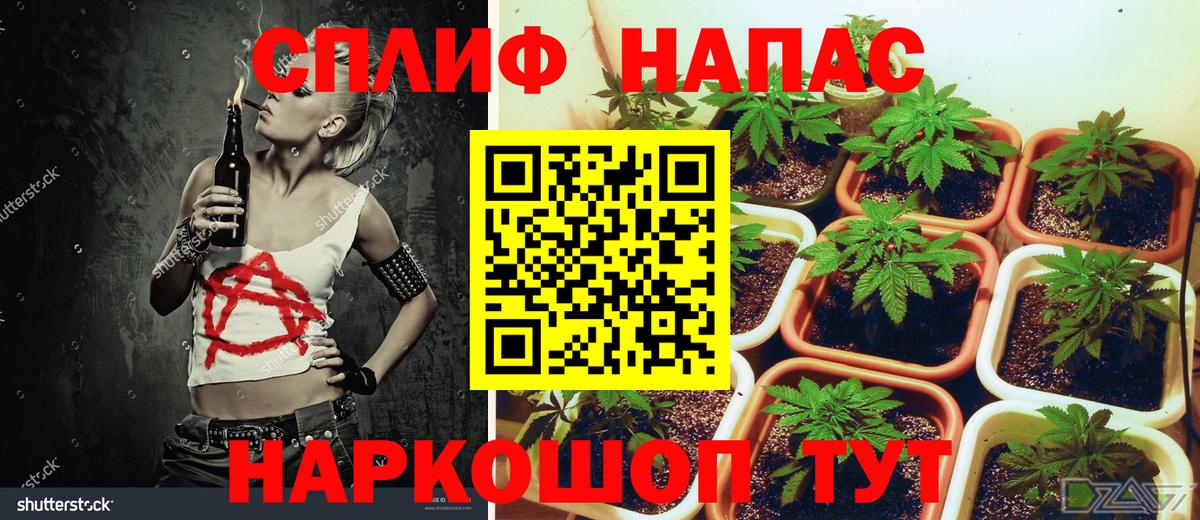 Марихуана план Домодедово